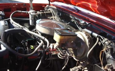 Chevrolet-CK-Pickup-1500-1984-11