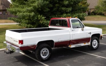 Chevrolet-CK-Pickup-1500-1984-18