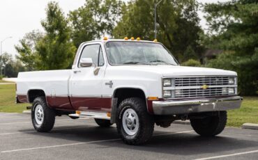 Chevrolet-CK-Pickup-1500-1984-20