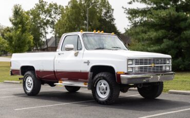 Chevrolet-CK-Pickup-1500-1984-21