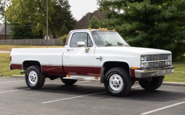 Chevrolet-CK-Pickup-1500-1984-22