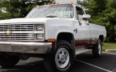 Chevrolet-CK-Pickup-1500-1984-28