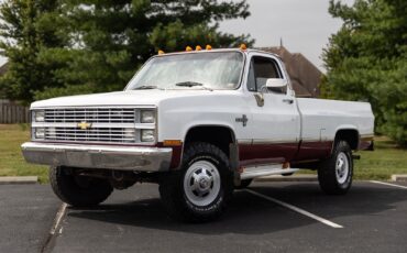 Chevrolet-CK-Pickup-1500-1984-29