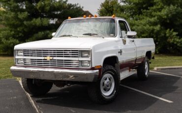 Chevrolet-CK-Pickup-1500-1984-31