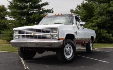 Chevrolet-CK-Pickup-1500-1984-32
