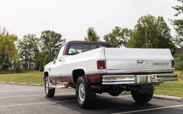 Chevrolet-CK-Pickup-1500-1984-38