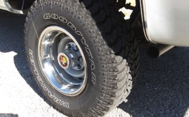 Chevrolet-CK-Pickup-1500-1984-38