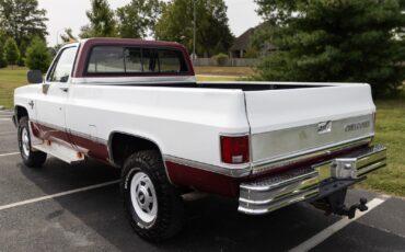 Chevrolet-CK-Pickup-1500-1984-39