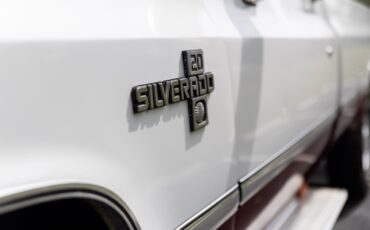 Chevrolet-CK-Pickup-1500-1984-4