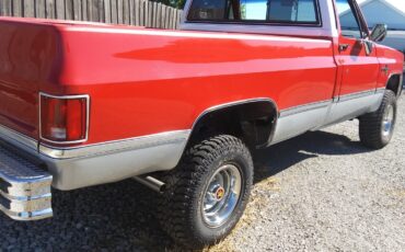 Chevrolet-CK-Pickup-1500-1984-6