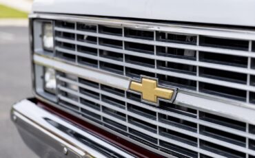 Chevrolet-CK-Pickup-1500-1984-8