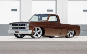 Chevrolet-CK-Pickup-1500-1985-Pickup-Truck-1