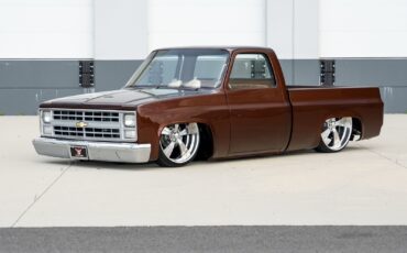 Chevrolet-CK-Pickup-1500-1985-Pickup-Truck-10