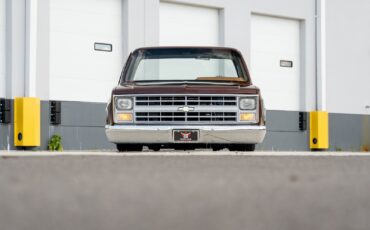 Chevrolet-CK-Pickup-1500-1985-Pickup-Truck-11