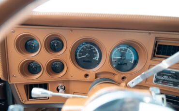 Chevrolet-CK-Pickup-1500-1985-Pickup-Truck-18
