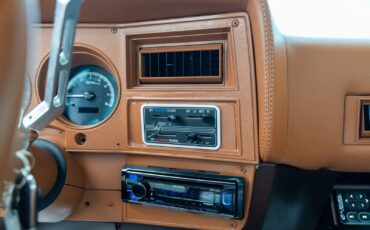 Chevrolet-CK-Pickup-1500-1985-Pickup-Truck-19