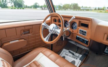 Chevrolet-CK-Pickup-1500-1985-Pickup-Truck-24
