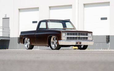 Chevrolet-CK-Pickup-1500-1985-Pickup-Truck-36