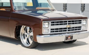 Chevrolet-CK-Pickup-1500-1985-Pickup-Truck-37
