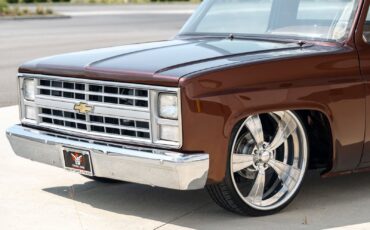 Chevrolet-CK-Pickup-1500-1985-Pickup-Truck-38