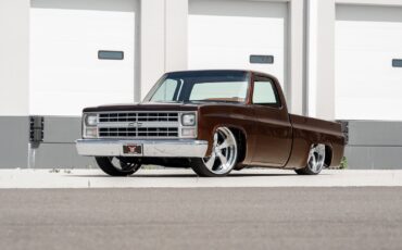 Chevrolet-CK-Pickup-1500-1985-Pickup-Truck-4