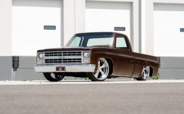 Chevrolet-CK-Pickup-1500-1985-Pickup-Truck-5