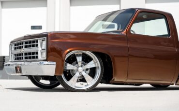 Chevrolet-CK-Pickup-1500-1985-Pickup-Truck-6