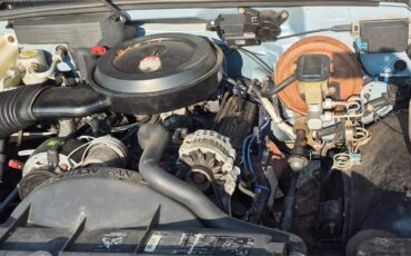 Chevrolet-CK-Pickup-1500-1990-10