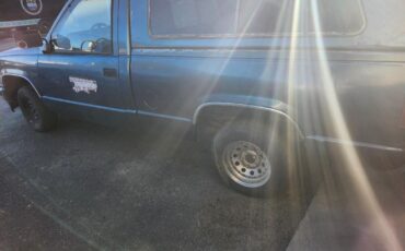 Chevrolet-CK-Pickup-1500-1990-Standard-Cab-Pickup-14