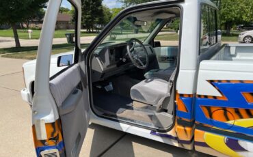 Chevrolet-CK-Pickup-1500-1991-Standard-Cab-Pickup-10