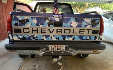 Chevrolet-CK-Pickup-1500-1993-13