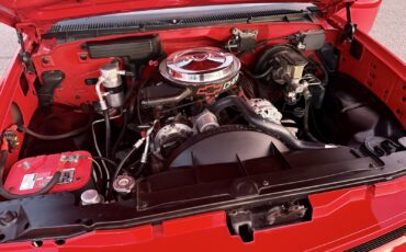 Chevrolet-CK-Pickup-1500-1993-23