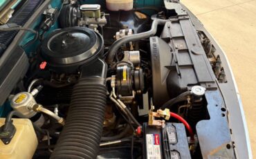 Chevrolet-CK-Pickup-1500-1993-Pickup-Truck-31
