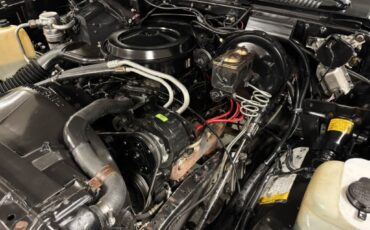 Chevrolet-CK-Pickup-2500-1987-Standard-Cab-Pickup-13
