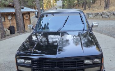 Chevrolet-CK-Pickup-2500-1989-8