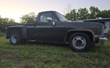 Chevrolet-CK-Pickup-3500-1987-3
