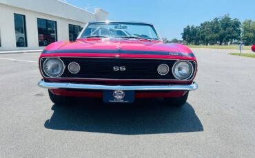 Chevrolet-Camaro-1967-Convertible-8