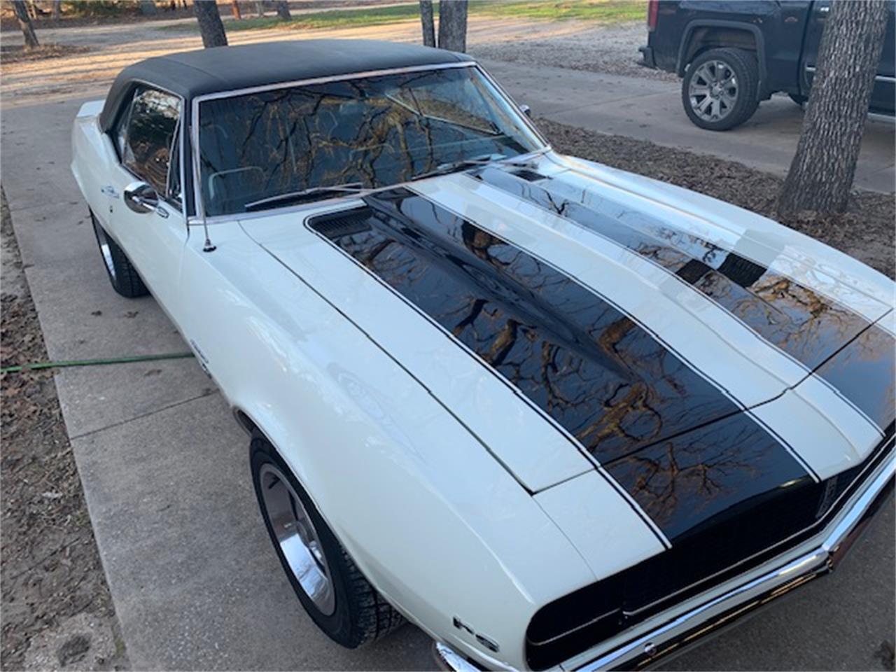 Chevrolet-Camaro-1967-WhiteBlack-Black-1