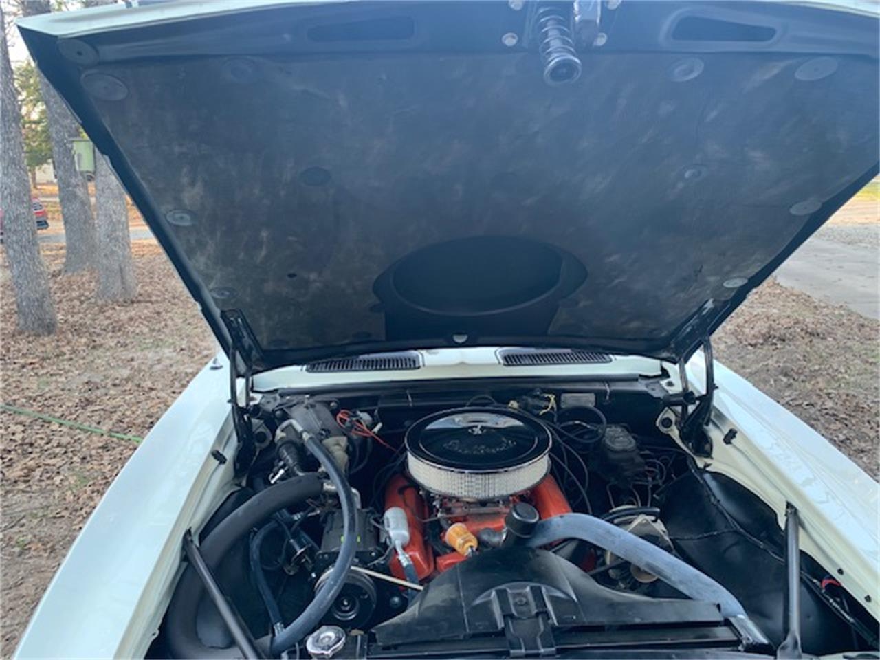 Chevrolet-Camaro-1967-WhiteBlack-Black-16