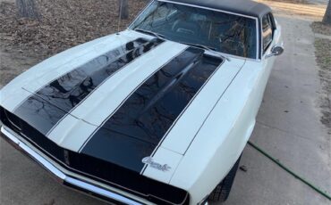 Chevrolet-Camaro-1967-WhiteBlack-Black-5