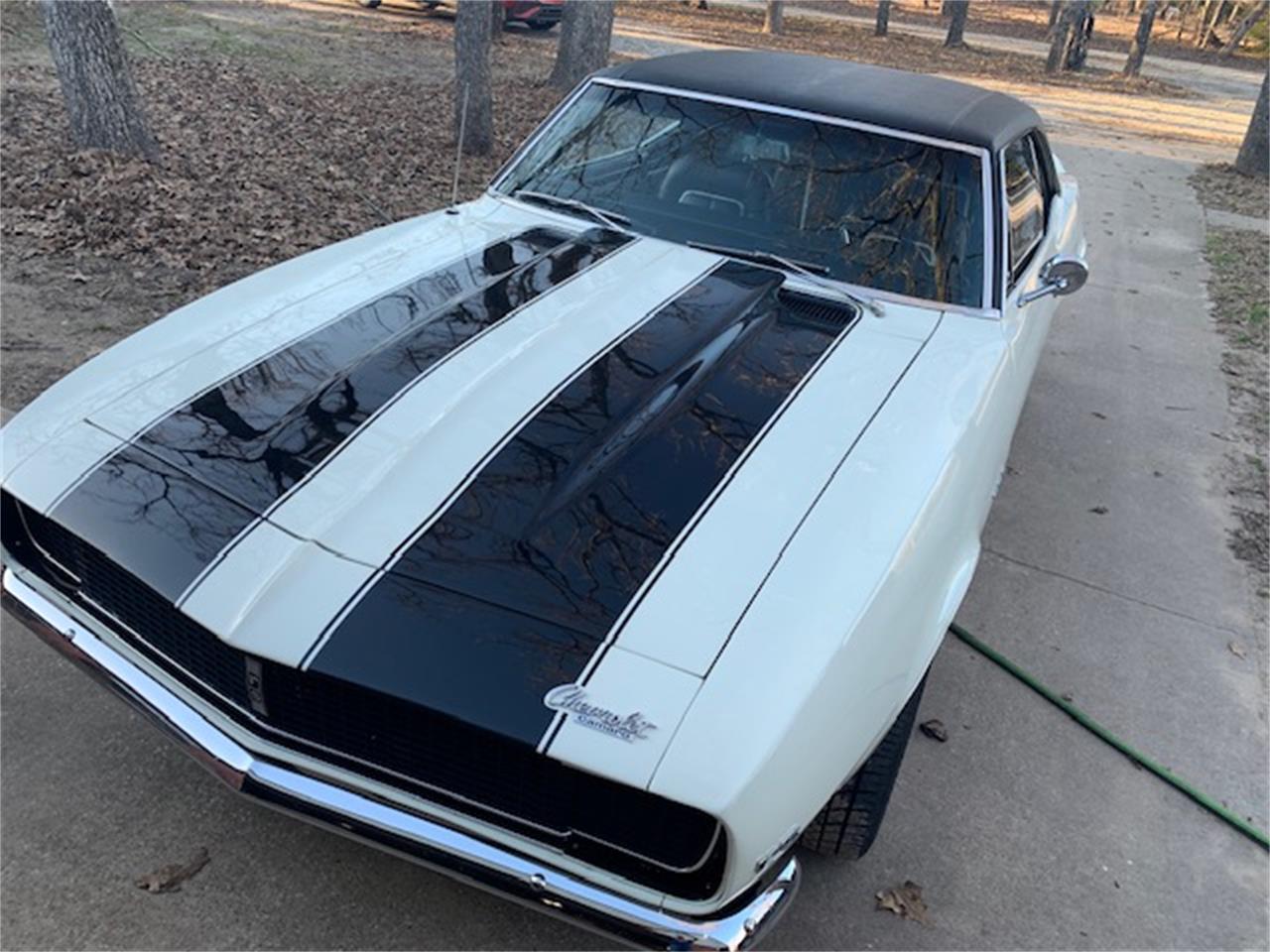 Chevrolet-Camaro-1967-WhiteBlack-Black-5
