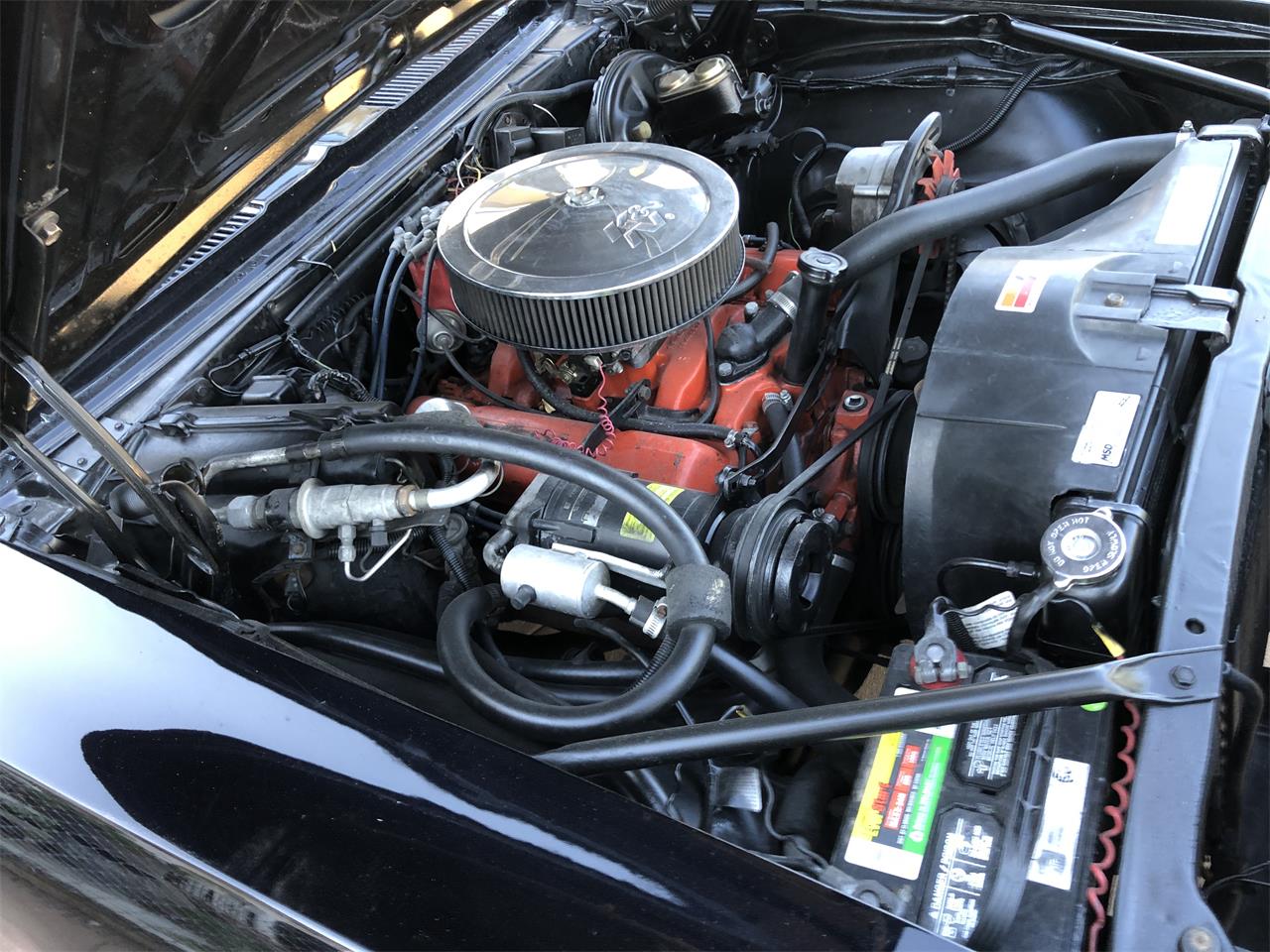 Chevrolet-Camaro-1968-BLUE-BLUE-10