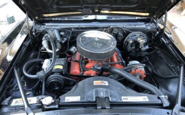 Chevrolet-Camaro-1968-BLUE-BLUE-11