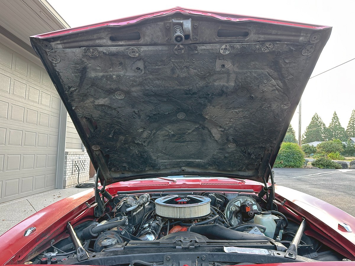 Chevrolet-Camaro-1968-Convertible-17