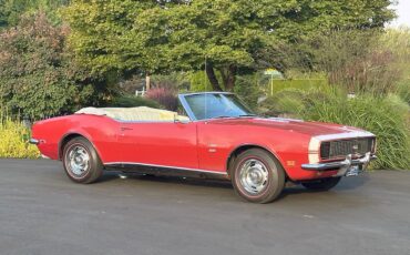 Chevrolet-Camaro-1968-Convertible-6