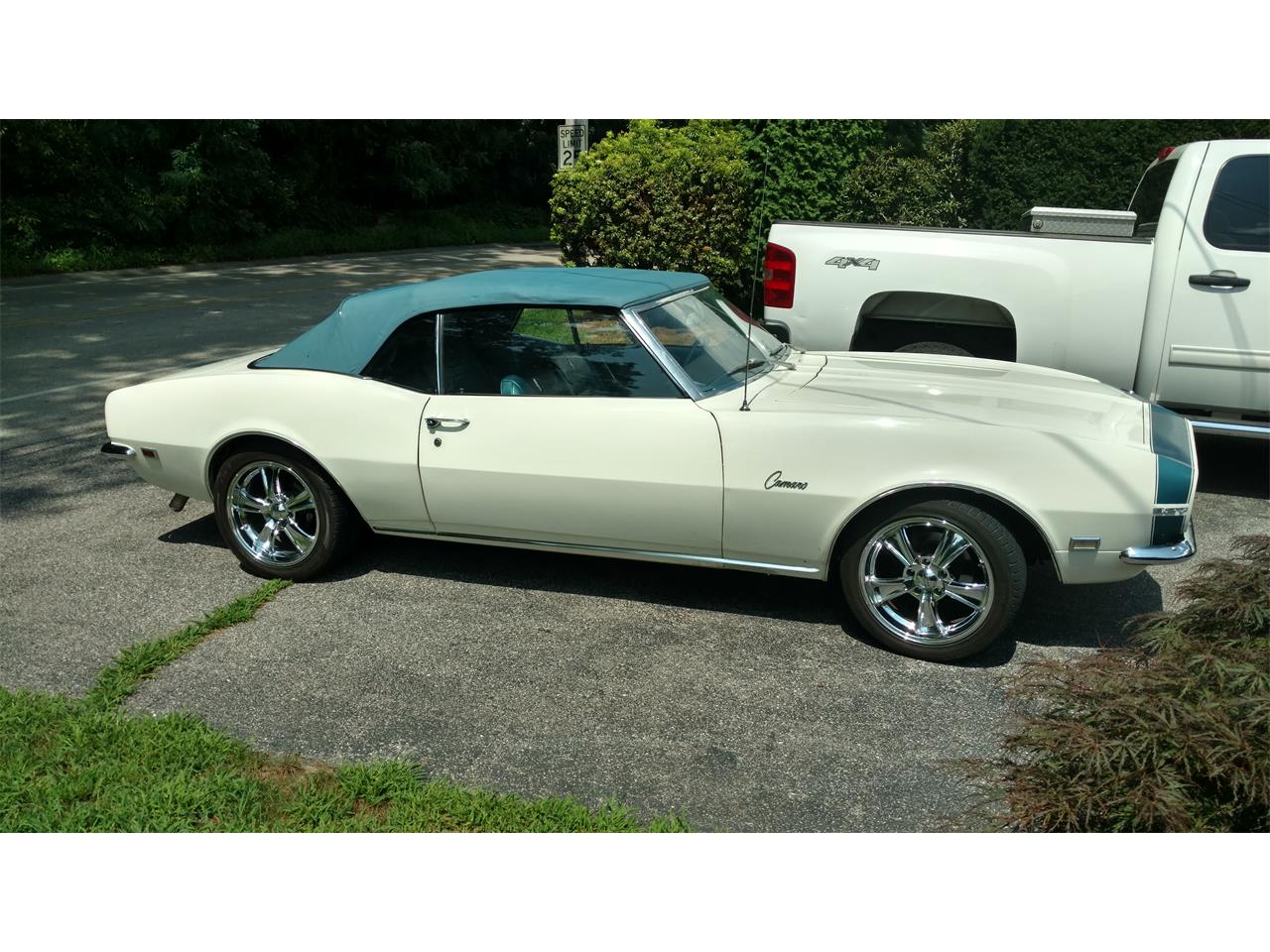 Chevrolet-Camaro-1968-Ermine-White-Blue-8