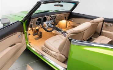 Chevrolet-Camaro-1968-Snakeskin-Green-Tan-25