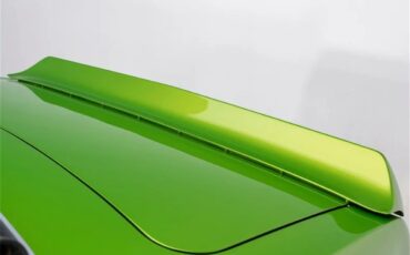 Chevrolet-Camaro-1968-Snakeskin-Green-Tan-37