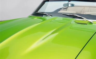 Chevrolet-Camaro-1968-Snakeskin-Green-Tan