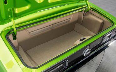 Chevrolet-Camaro-1968-Snakeskin-Green-Tan-48